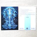 "THEIA" Special edition postcard set. - Image 7